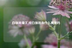 白旗袍重工,纯白旗袍有什么寓意吗-第1张图片-山东威力重工