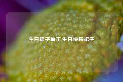 生日裙子重工,生日快乐裙子-第1张图片-山东威力重工