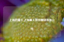 上海的重工,上海重工股份集团有限公司-第1张图片-山东威力重工