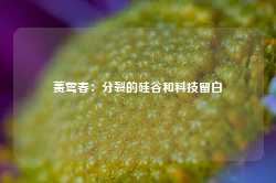 蒉莺春：分裂的硅谷和科技留白-第1张图片-山东威力重工