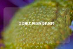 贝菱重工,贝菱除湿机官网-第1张图片-山东威力重工