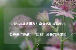 中证A500基金爆发！富安达汇成等中小公募来“参战”“陪跑”还是共同成长？-第1张图片-山东威力重工