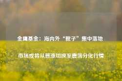 金鹰基金：海内外“靴子”集中落地 市场或将从普涨切换至震荡分化行情-第1张图片-山东威力重工