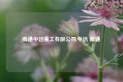 南通中远重工有限公司,中远 南通-第1张图片-山东威力重工