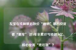 友宝在线解禁后股价“腰斩”基石投资者“套牢” 近4年半累计亏损超20亿、核心业务“拖后腿”？-第1张图片-山东威力重工