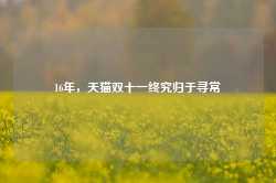 16年，天猫双十一终究归于寻常-第1张图片-山东威力重工