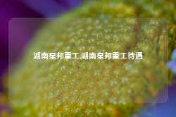 湖南星邦重工,湖南星邦重工待遇-第1张图片-山东威力重工