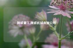 腾威重工,腾威机械有限公司-第1张图片-山东威力重工