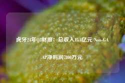 虎牙24年Q3财报：总收入15.4亿元 Non-GAAP净利润7800万元-第1张图片-山东威力重工