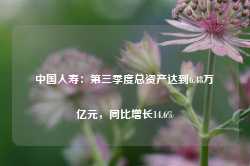 中国人寿：第三季度总资产达到6.48万亿元，同比增长14.6%-第1张图片-山东威力重工