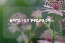 震坤行盘中异动 下午盘快速拉升5.26%-第1张图片-山东威力重工