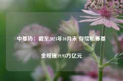 中基协：截至2024年10月末 存续私募基金规模19.93万亿元-第1张图片-山东威力重工