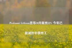 Piedmont Lithium宣布10月裁员32% 今年已裁减近半数员工-第1张图片-山东威力重工