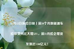 11月13日保险日报丨前10个月新能源车险保费同比大增53%，前11月险企增资发债近1100亿元！-第1张图片-山东威力重工