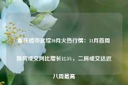 重庆楼市延续10月火热行情：11月首周新房成交同比增长12.5%，二房成交达近八周最高-第1张图片-山东威力重工