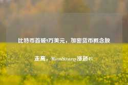 比特币首破9万美元，加密货币概念股走高，MicroStrategy涨超4%-第1张图片-山东威力重工