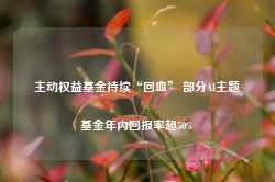 主动权益基金持续“回血” 部分AI主题基金年内回报率超50%-第1张图片-山东威力重工