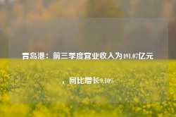 青岛港：前三季度营业收入为491.07亿元，同比增长9.10%-第1张图片-山东威力重工