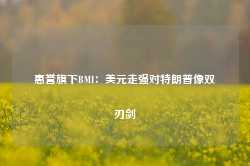 惠誉旗下BMI：美元走强对特朗普像双刃剑-第1张图片-山东威力重工