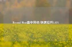 Beyond Meat盘中异动 快速拉升5.45%-第1张图片-山东威力重工