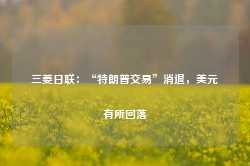 三菱日联：“特朗普交易”消退，美元有所回落-第1张图片-山东威力重工