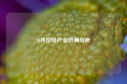 10月份硅产业供需分析-第1张图片-山东威力重工