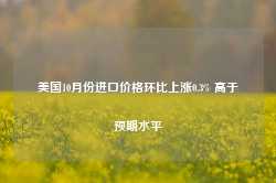 美国10月份进口价格环比上涨0.3% 高于预期水平-第1张图片-山东威力重工