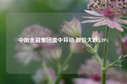 中阳金融集团盘中异动 股价大跌5.39%-第1张图片-山东威力重工