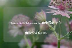 Barnes  Noble Education, Inc盘中异动 下午盘股价大跌5.13%-第1张图片-山东威力重工