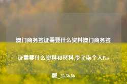 澳门商务签证需要什么资料澳门商务签证需要什么资料和材料,李子柒个人Pro版_25.36.86-第1张图片-山东威力重工