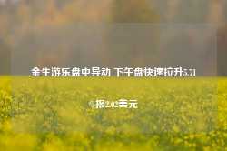 金生游乐盘中异动 下午盘快速拉升5.71%报2.02美元-第1张图片-山东威力重工