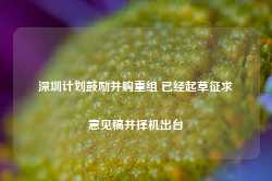 深圳计划鼓励并购重组 已经起草征求意见稿并择机出台-第1张图片-山东威力重工