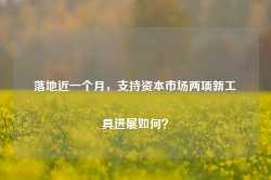 落地近一个月，支持资本市场两项新工具进展如何？-第1张图片-山东威力重工