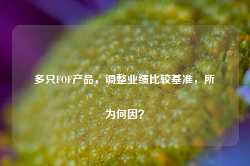 多只FOF产品，调整业绩比较基准，所为何因？-第1张图片-山东威力重工