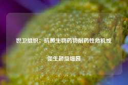 世卫组织：抗微生物药物耐药性危机或促生超级细菌-第1张图片-山东威力重工