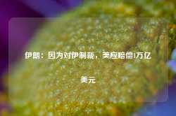 伊朗：因为对伊制裁，美应赔偿1万亿美元-第1张图片-山东威力重工