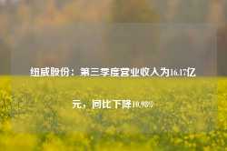 纽威股份：第三季度营业收入为16.17亿元，同比下降10.98%-第1张图片-山东威力重工