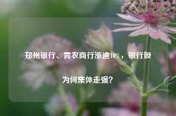 郑州银行、青农商行涨逾10%，银行股为何集体走强？-第1张图片-山东威力重工