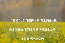 “空档”2个月后再一例 马上消金10亿元金融债发行在即 重启以来消金公司发行额已超500亿元-第1张图片-山东威力重工