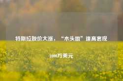 特斯拉股价大涨，“木头姐”逢高套现1000万美元-第1张图片-山东威力重工