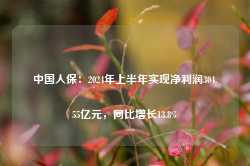 中国人保：2024年上半年实现净利润304.55亿元，同比增长13.8%-第1张图片-山东威力重工