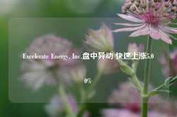 Excelerate Energy, Inc.盘中异动 快速上涨5.00%-第1张图片-山东威力重工