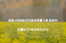 美国10月独栋住宅建造数量下滑 新房供应量处于08年来低位水平-第1张图片-山东威力重工