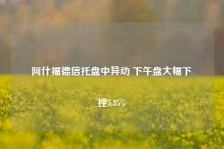 阿什福德信托盘中异动 下午盘大幅下挫5.85%-第1张图片-山东威力重工