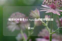 据悉对冲基金Two Sigma在战略评估后裁员10%-第1张图片-山东威力重工