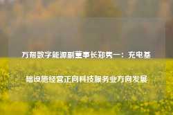 万帮数字能源副董事长郑隽一：充电基础设施经营正向科技服务业方向发展-第1张图片-山东威力重工