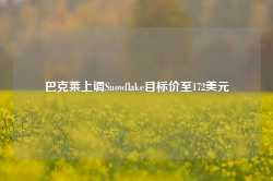 巴克莱上调Snowflake目标价至172美元-第1张图片-山东威力重工