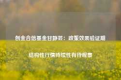 创金合信基金甘静芸：政策效果验证期 结构性行情持续性有待观察-第1张图片-山东威力重工