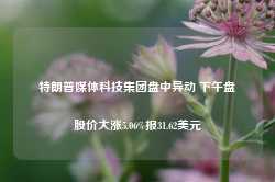 特朗普媒体科技集团盘中异动 下午盘股价大涨5.06%报31.62美元-第1张图片-山东威力重工