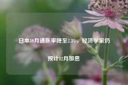 日本10月通胀率降至2.3%，经济学家仍预计12月加息-第1张图片-山东威力重工